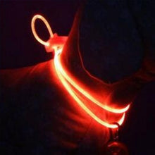 تحميل الصورة في عارض المعرض ، pièces multicolore LED collier pour animal de compagnie réglable nuit sécurité collier pour animal de compagnie lumière lumineuse Up animal de compagnie chien collier lumineux laisse
