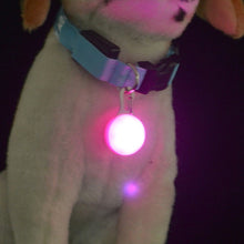 تحميل الصورة في عارض المعرض ، Pet Dog Cat LED Collar Pendant Night Safety
