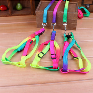 Dog Collar Harness Leash Soft Walking Harness Lead Colorful and Durable Traction Rope Nylon 120cm