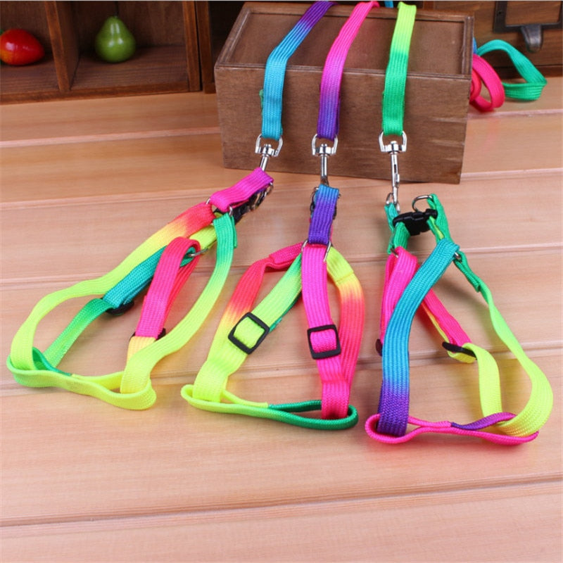 Dog Collar Harness Leash Soft Walking Harness Lead Colorful and Durable Traction Rope Nylon 120cm