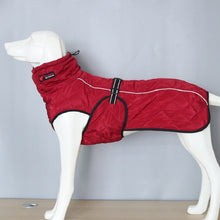 تحميل الصورة في عارض المعرض ، Clothes Big Large Dog Jacket
