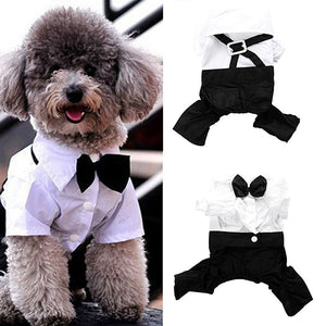 Dog Cat Clothes Prince Tuxedo Bow Tie Suit Puppy Costume Jumpsuit Coat S-XXL 456fwr32 Dog Clothes Suit for dogs