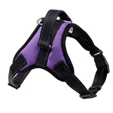 تحميل الصورة في عارض المعرض ، New Pets Dog Harness Vest Reflective Tape Breathable Mesh Pet Dogs Leash Harness Dog Collar Accessories
