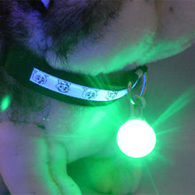 تحميل الصورة في عارض المعرض ، Pet Dog Cat LED Collar Pendant Night Safety
