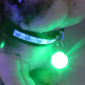 Pet Dog Cat LED Collar Pendant Night Safety