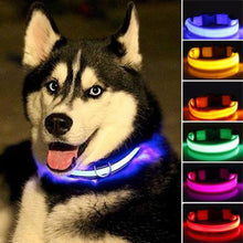 تحميل الصورة في عارض المعرض ، Collier de chien LED , lueur clignotante de sécurité nocturne dans la laisse de chien sombre, colliers fluorescents lumineux pour chiens fournitures pour animaux de compagnie
