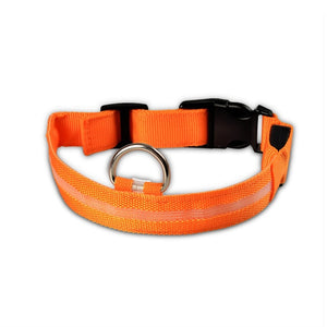 Collier de chien LED , lueur clignotante de sécurité nocturne dans la laisse de chien sombre, colliers fluorescents lumineux pour chiens fournitures pour animaux de compagnie