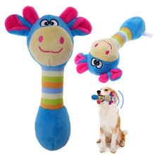 تحميل الصورة في عارض المعرض ، animal en peluche chien jouets mignon pet dog chew jouets animaux chien chat chiot jouet toot écureuil chien mâcher squeak M888
