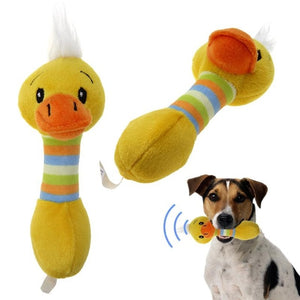 animal en peluche chien jouets mignon pet dog chew jouets animaux chien chat chiot jouet toot écureuil chien mâcher squeak M888