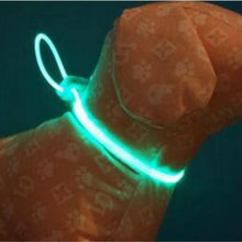 تحميل الصورة في عارض المعرض ، pièces multicolore LED collier pour animal de compagnie réglable nuit sécurité collier pour animal de compagnie lumière lumineuse Up animal de compagnie chien collier lumineux laisse
