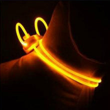 تحميل الصورة في عارض المعرض ، pièces multicolore LED collier pour animal de compagnie réglable nuit sécurité collier pour animal de compagnie lumière lumineuse Up animal de compagnie chien collier lumineux laisse
