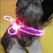 تحميل الصورة في عارض المعرض ، pièces multicolore LED collier pour animal de compagnie réglable nuit sécurité collier pour animal de compagnie lumière lumineuse Up animal de compagnie chien collier lumineux laisse
